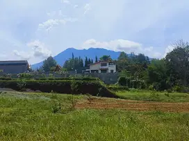Tanah di Puncak Luas 295m² Strategis Dekat exit tol