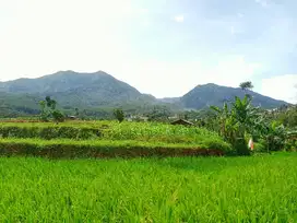 Tanah kebun murah pemandangan bandung dan pegunungan