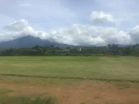 Dijual Kavling Vila di Bogor Pamijahan Khusus Muslim