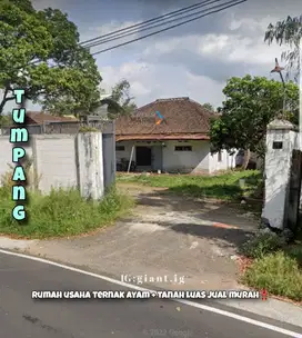Tanah bonus rumah ternak ayam petelur di raya Bokor Tumpang Malang