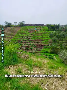 Tanah Murah ex kebun apel di Bulukerto Bumiaji Batu Malang