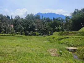 Tanah Luas 423m2 nempel kali bersih di puncak megamendung