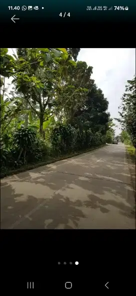Dijual Tanah kebon cengkeh