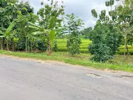 Tanah Tepi Jalan Utama 95 Juta Cocok Untuk Buka Usaha