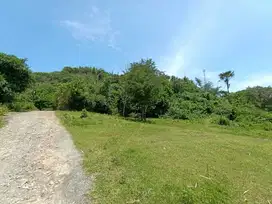 Land Near The Kuta Mandalika Lombok NTB