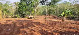 Jual tanah BU  di desa Gondoriyo, Kab. Semarang, Jawa Tengah