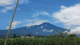 TANAH VIEW EKSOTIS TERLARIS PURWOKERTO
