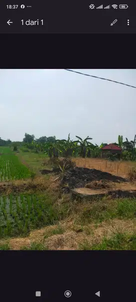 DIJUAL TANAH KAVLING MENGANTI GRESIK
