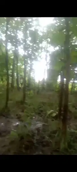 dijual tanah kawasan Pandawa beach kutuh badung bali