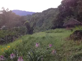 Dijual Cepat Tanah di Jl Pancawati Caringin Bogor