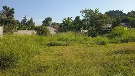 Tanah  Kavling Siap Bangun di Kemang Bogor