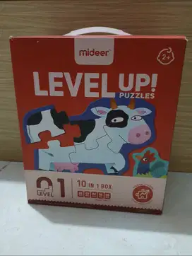 Puzzle mideer level up