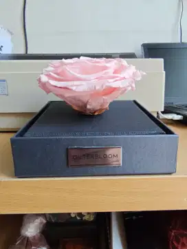 OUTERBLOOM bunga abadi