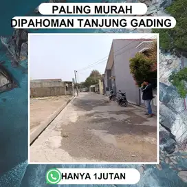 tanah yang strategis dan nyaman di kawasan PAHOMAN KEDAMAIAN
