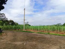 Dijual tanah dapat 2 akses jalan dijumantono cocok buat kebun durian