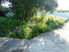 Jual Cepat Tanah 174m² Lokasi Goa Gong Ungasan area Investasi