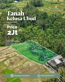Freehold Land Kelusa Ubud Gianyar Bali