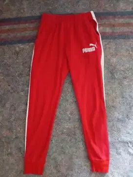 Pumaa Training.