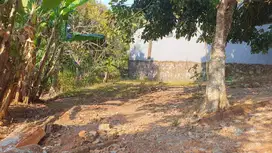 Tanah Kebun Ada Pohon Rambutan Dekat Asrama Polisi Tejosari Banyumanik