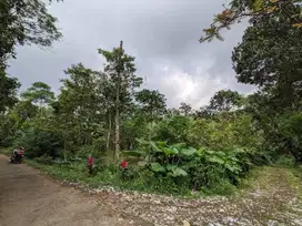 Tanah Murah Pinggir Jalan (BU)
