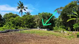 8are Land in Tibubiu