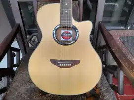 Gitar Akustik Elektrik APX 500