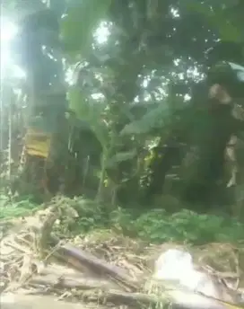 DIJUAL TANAH LAHAN KOSONG DI CIPAYUNG JAKARTA TIMUR
