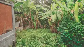 Di jual cepat tanah lokasi gulingan