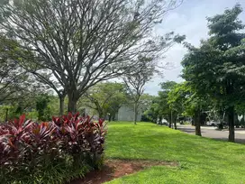 Kavling Cantik View Sungai Di Avani BSD, Dekat Stasiun Dan Pasar BSD