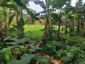 Jual Tanah Murah 3,5 Juta Per M2 Di Bogor Timur Di Komplek Agricon
