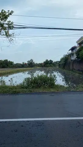 Dijual Tanah Sidoarjo Kota