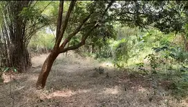 Disewakan atau Jual Tanah di Jl. Raya Sawangan, Lokasi Strategis!