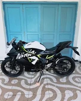 Kawasaki Ninja Mono 250 MULUSS