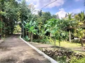 Jual Cepat! Tanah Murah Utara SPBU Sedayu Jl Jogja Wates, 1 JUTAAN