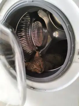 Lowongan kerja laundry