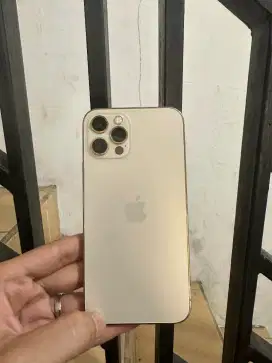 Iphone 12 pro 128gb ex inter all op