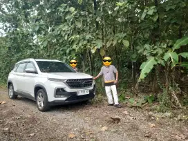 kayu jati berupa pohon jati masih kebun jati lokasi kebon jati sragen
