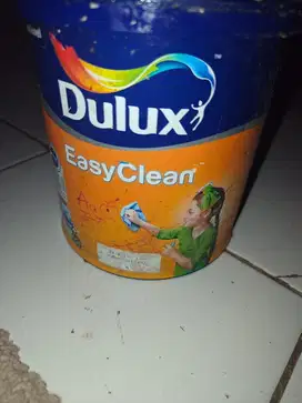 Cat Tembok easy clean