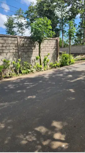 Tanah 15 Are di Balangan Jimbaran