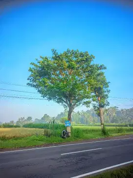 Cari kerja yg bisa pulang jam 4 sore gak libur gpp