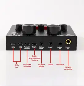 1 paket livesing v8