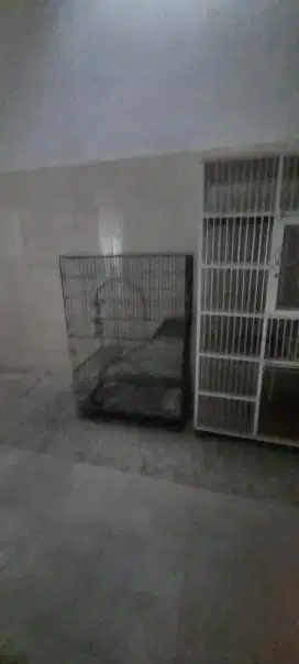 Kandang kucing dan kelinci