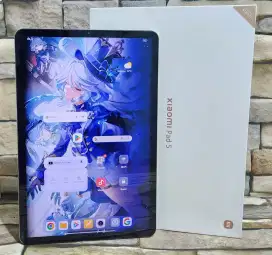Xiaomi Pad 5 6/256 Wifi Fulset segel mulus 95%