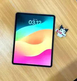 Ipad pro 12,9 inch 2020 256gb wifi inter
