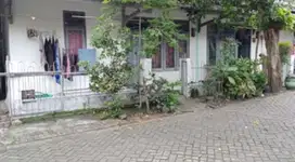 Jl. Sambikerep Gg. Mangga Rt 02 Rw 04 Kel Sambikerep Kec Sambikerep Ko