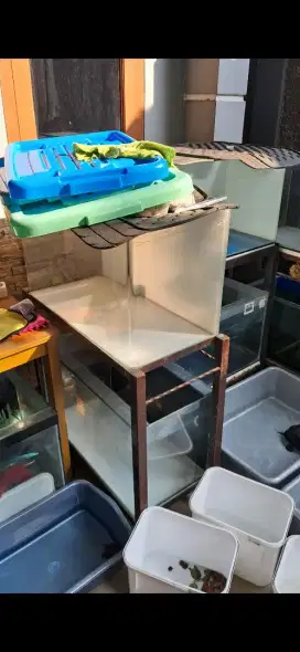 Aquarium, akuarium