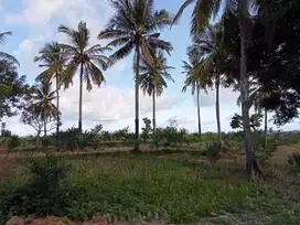 Dijual Tanah Luas di Lombok samping jalan - Cocok untuk villa dll