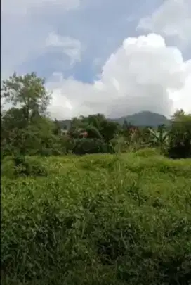 Dijual cepat tanah darat di cisarua puncak kab bogor