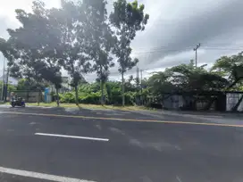 Tanah Banyuwangi Jalan Raya