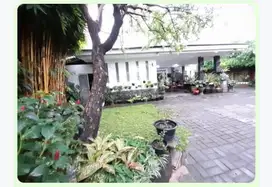 Dijual tanah di jaya mandala Jkt selatan 494m shm 24M  tenang